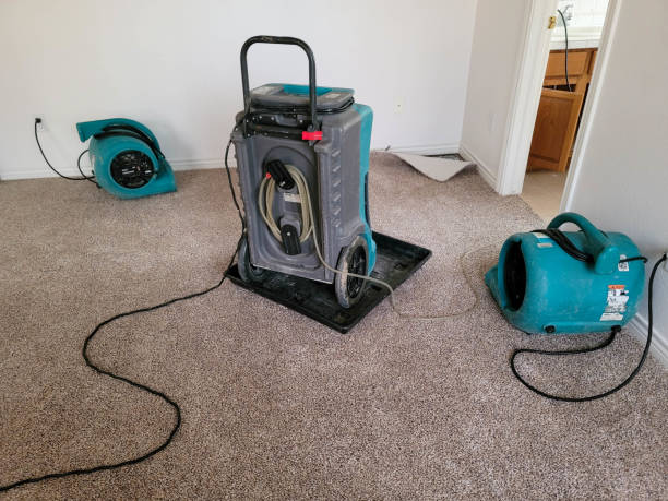 Best Ceiling water damage repair  in Woodside, CA