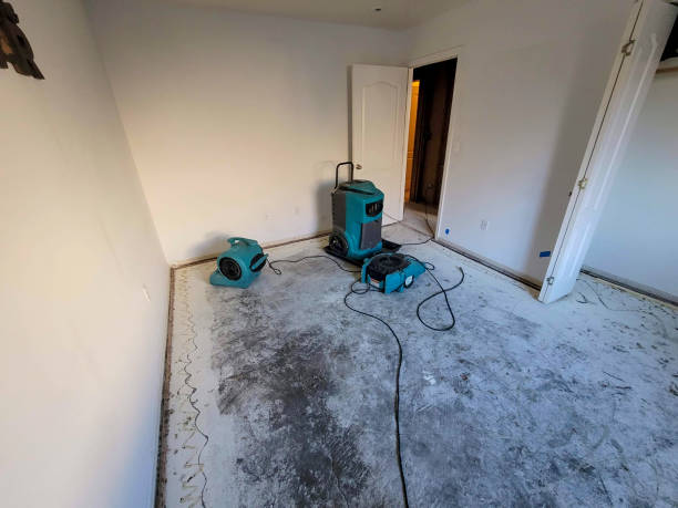  Woodside, CA Water damage restoration Pros