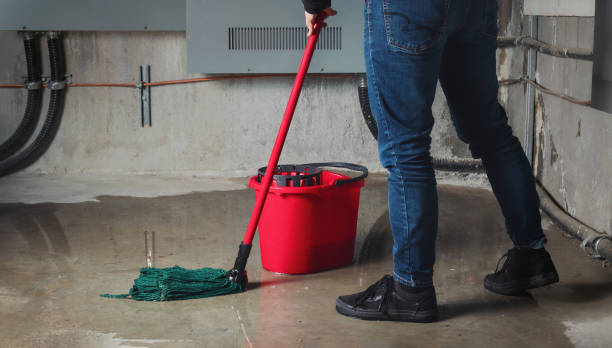 Best Water damage cleanup near me  in Woodside, CA