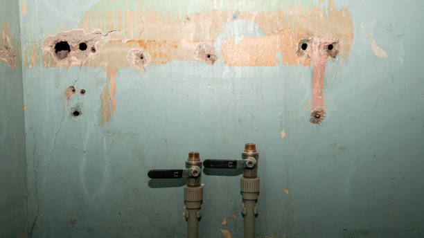 Best Water damage cleanup near me  in Woodside, CA