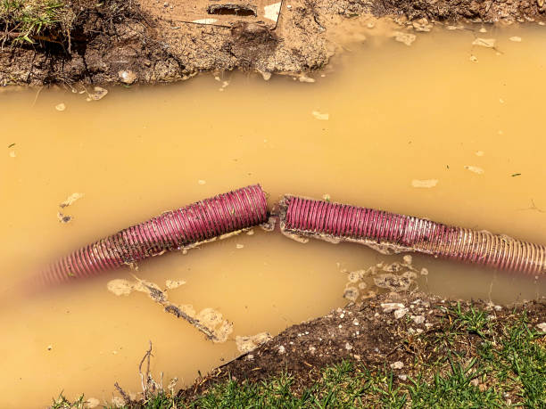 Best Mold removal after water damage  in Woodside, CA