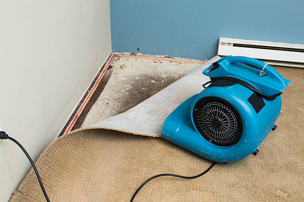 Best Professional water damage repair  in Woodside, CA